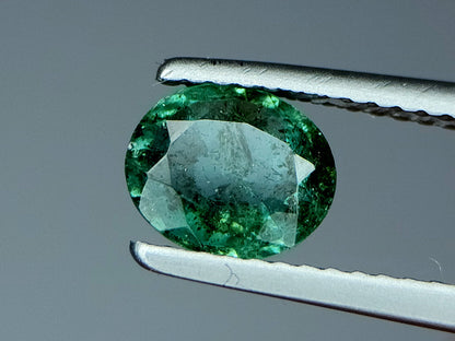 0.9 Crt Natural Emerald Gemstones IGCZZM249 - imaangems